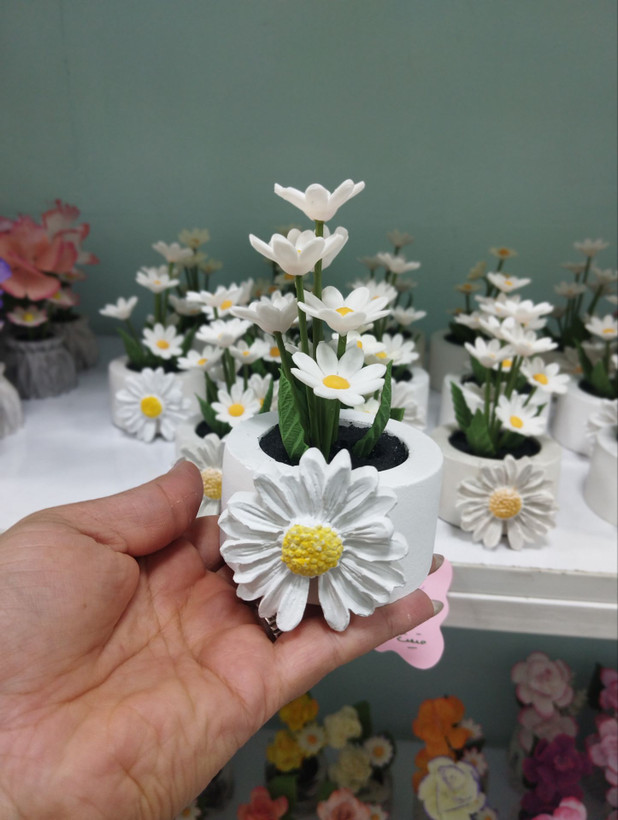 گل خمیری بابونه
